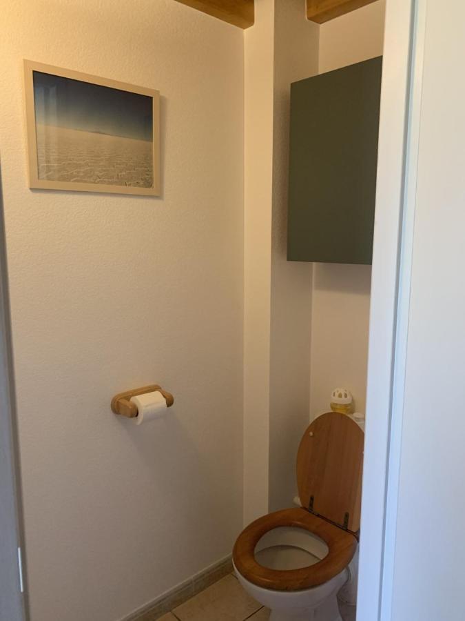 Appartement Dans Chalet Avec Jardin, Vue Montagne Aucun 외부 사진
